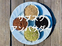 Agri Dept | 自然農 | 大分県臼杵市